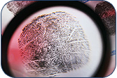 Fingerprints, Live Scan Fingerprinting in West Covina, CA